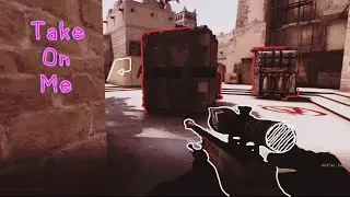 6 mois de clips Cs Go ft. Striker , RouxMan