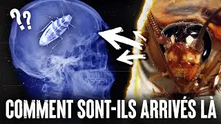 5 ANIMAUX retrouvés dans le CORPS HUMAIN !