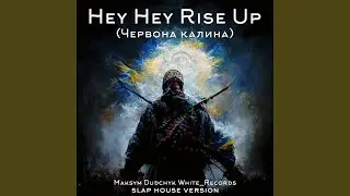 Hey Hey Rise Up