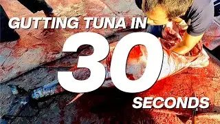 Japan’s BEST BLUEFIN TUNA Is from My Hometown Kochi!