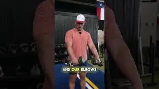 DB Reverse Bicep Curl - Exercise Index
