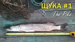 Ловля Щуки - POV Real Pike fishing #1