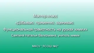 Мастер-класс «Добываю, применяю, оцениваю. Функциональная грамотность на уроках химии»