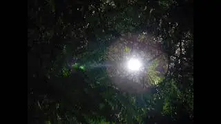 2 kelli santos  the brazilizn beauty or the queens of amazon