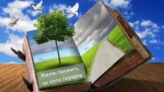 Презентация "Крылатые слова"