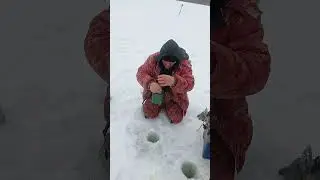 Томские Ебеня. 2 серия.