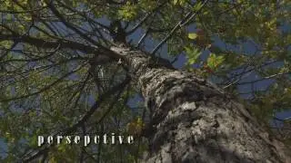 Creative Composition