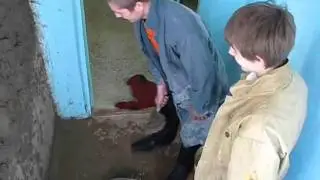 Видеофильм."Трудовые будни".