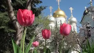 Пасхальный звон в Зачатьевском монастыре