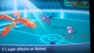 Pokemon XY - 2014 International Challenge June R10