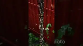 Водосток из цепи. 
