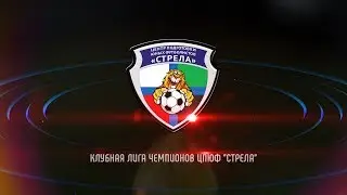 Клубная лига чемпионов ЦПЮФ 