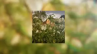 ๓๏๏ภ