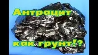 Уголь антрацит как грунт! Какой грунт выбрать для аквариума?