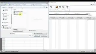 Microsoft Project 2010/2013 pt 5 (Master Project & Macro)