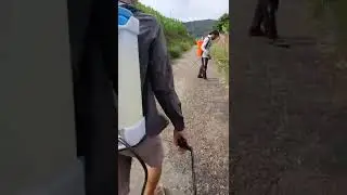 Gotong Royong Membersihkan Jalan #shorts