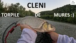 🎣 CLENI!!! Torpile de Mureș!!! Spinning la clean🎣