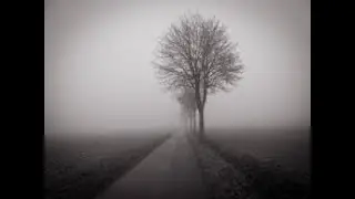 Mlha (creepypasta)