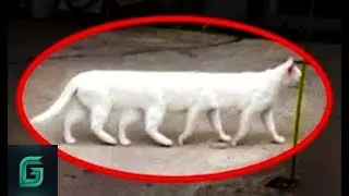 Planlandığı Gibi Olmayan Panoramik Çekimler