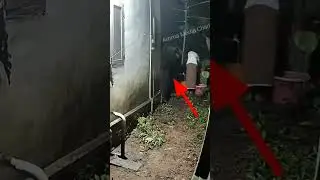 hayaletler baş ucumuzda olsa bile biz onları göremiyoruz #video oldugu gibi #shorts #short #viral