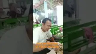 MAKAN BARENG TRIONO COMAL#SHORTS