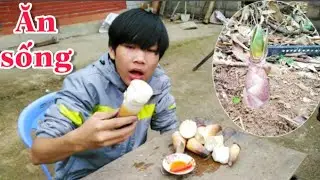 Đệ Tử Hậu Cáo - Ăn Sống ? Vừa Ngon Lại Còn Bổ - Ăn Như Các Cụ