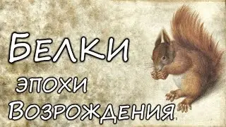Белки в живописи Ренессанса