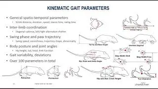 WebinarMotoRaterCharlesRiver 11 10 2016