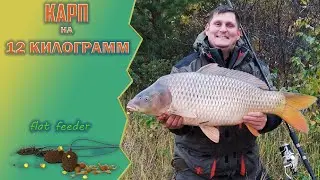 КАРП НА 12 КИЛОГРАММ, РЫБАЛКА НА КАНАЛЕ НА ФЛЭТ МЕТОД. РЕКОРДНАЯ РЫБА! flat method feeder