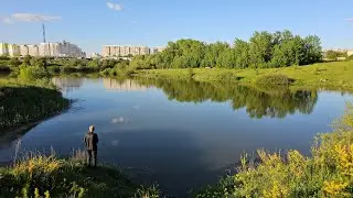VLOG 19.05.2024 г Прогулка в Щекотихинском лесу/ Прогулка по лесу/ Силикатный пруд/ Красивая природа