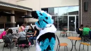 Furs For Life Village Pointe walk