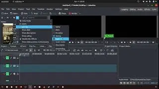 85 How to sort by in the project bin