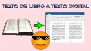 Como pasar un texto de libro a Word