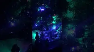 ДО НОВОГО 2024 ГОДА 48 ЧАСОВ 🎄🎄 