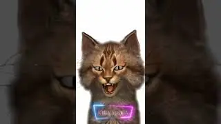 Reaction ‼️ POV Ketika Nyawa Belum Kumpul #shorts