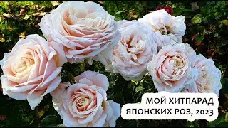 #японскиерозы
