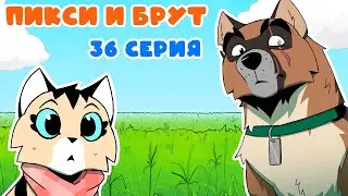 ПИКСИ И БРУТ. 36 серия. Комиксы | Мемозг 1488