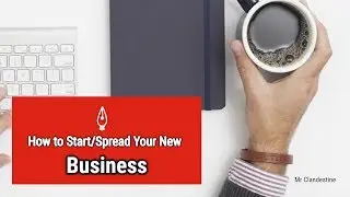 How to Start a New Business in 5 Steps