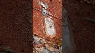 INCRÍVEL O QUE ACHAMOS