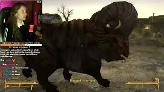 Радиопассивная служба доставки ☢ Fallout: New Vegas. Часть 1. #Общение #Позитив