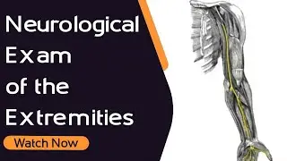 Neurological Exam of the Extremities