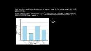 Sütun Grafiklerini Okuma: Timsahlar (Matematik) (Cebir)