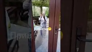 Кастальская купель
