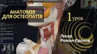 ВИСЦЕРА | АНАТОМИЯ ДЛЯ ОСТЕОПАТОВ | ДОКТОР РОМАН ЕРОХОВ | 1 урок