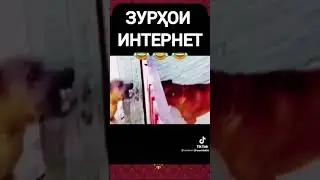 Айпушти экран вохима наке