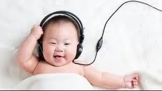 funny videos blog