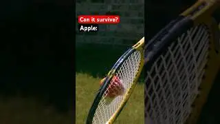 What can survive a racket? 🤔