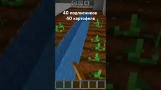 40 подписчиков 40 картофеля