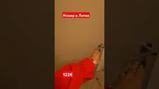 Сутки