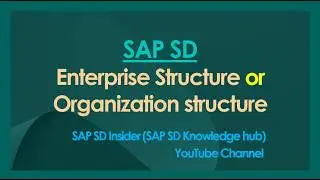 Enterprise structure, creation and assignment.